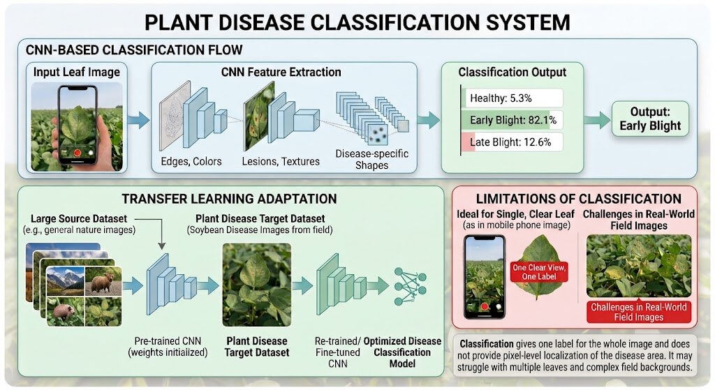 CNN-based plant disease classification system architecture showing feature extraction, transfer learning, and field limitations