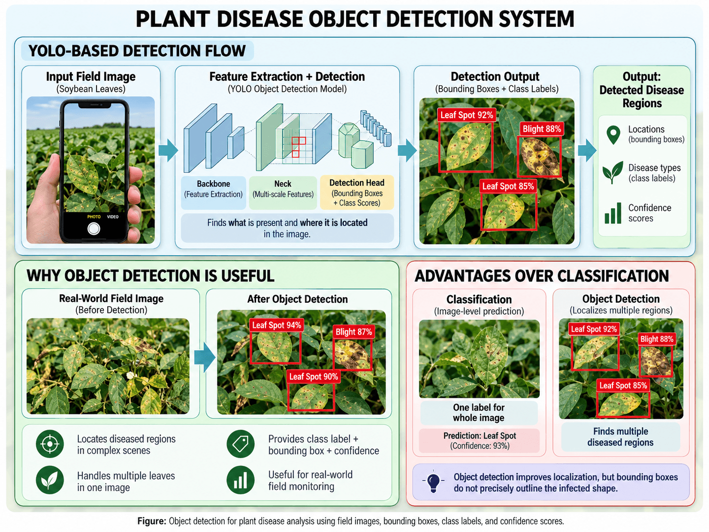 YOLO-based plant disease object detection system showing bounding box predictions, confidence scores, and multi-leaf handling