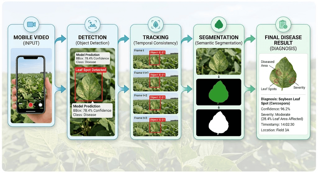 Video-based plant disease analysis pipeline showing frame extraction, tracking, segmentation, and diagnosis